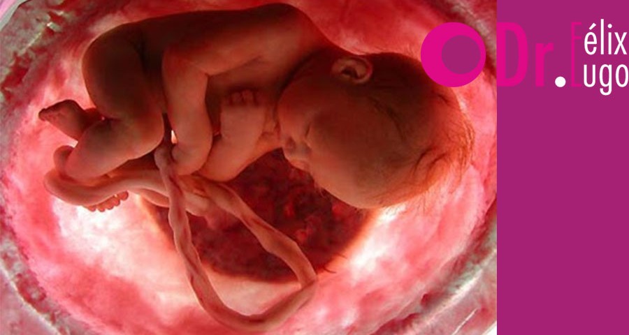 pérdida de liquido, embrion, bebe, utero, precaución, ginecología, Dr. Félix Lugo,